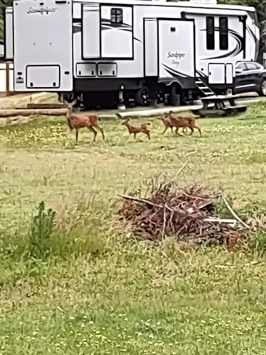 Spencer Lake RV Park Picture 8