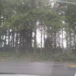 Pacific Homes Beach Club