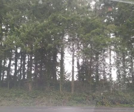 Pacific Homes Beach Club