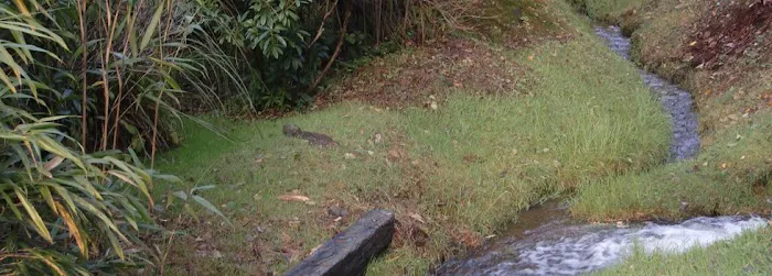 Harbor Village RV Park Picture 3