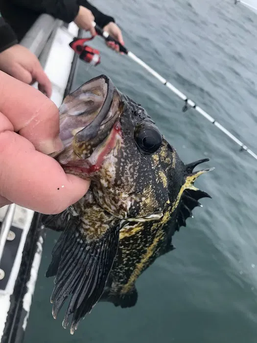 Port of Newport RV Park & Marina - South Beach Picture 4