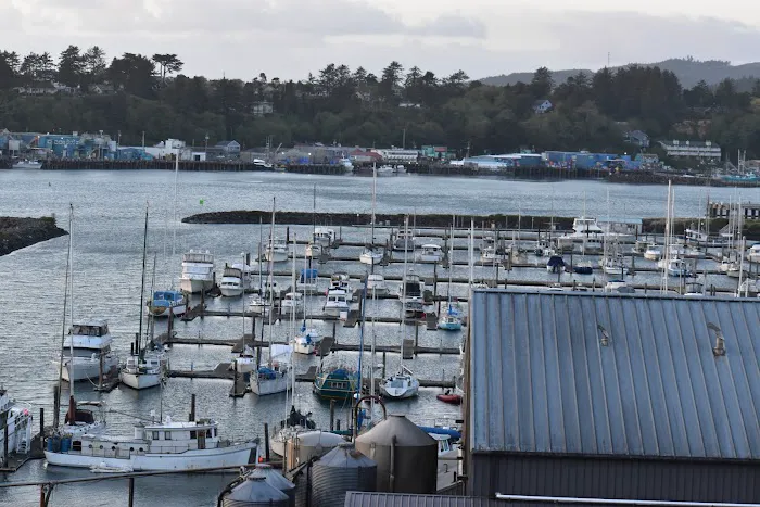 Newport Marina Rv Park Picture 5