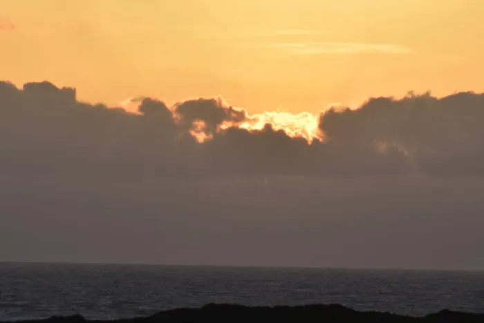 Newport Marina Rv Park Picture 4