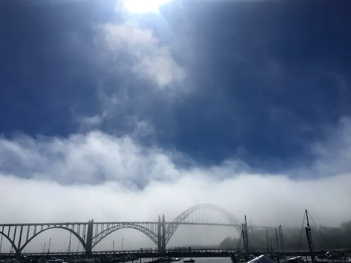 Newport Marina Rv Park Picture 9