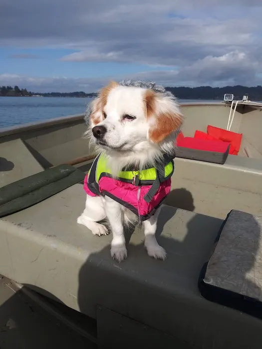 Sawyer's Landing Marina & Rv Picture 7