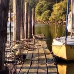 Sawyer's Landing Marina & Rv