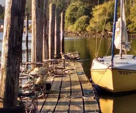 Sawyer's Landing Marina & Rv