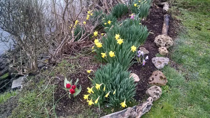 Sawyer's Landing Marina & Rv Picture 3