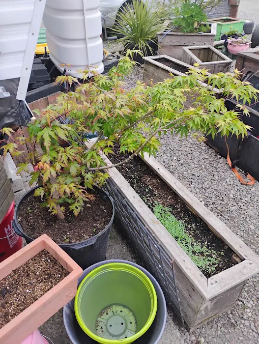 Cedars RV Court Picture 8