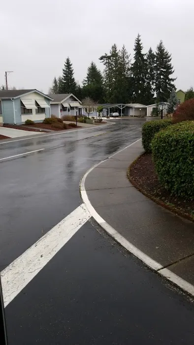 Twin Cedars Picture 5