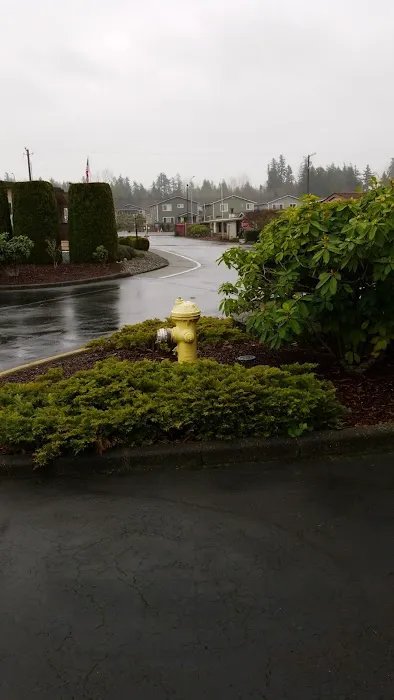 Twin Cedars Picture 7