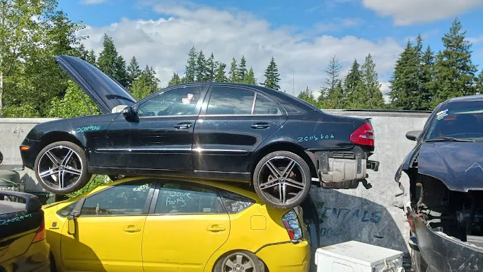 Twin Cedars Picture 6