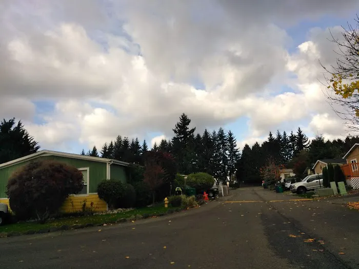 Killarney Woods Picture 8