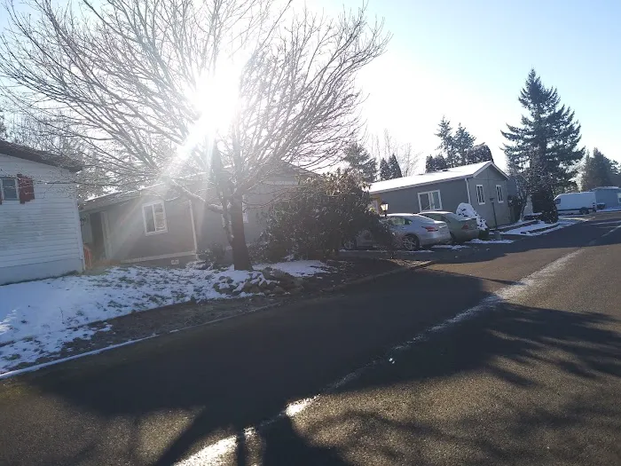 Killarney Woods Picture 10