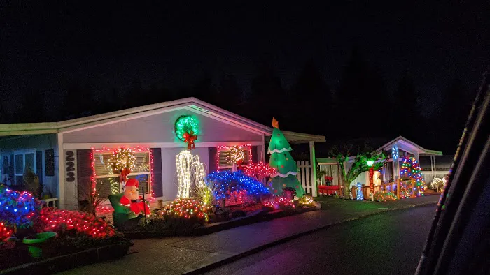 Kloshe Illahee Picture 3