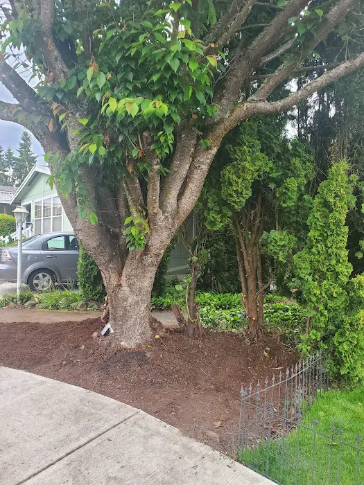 Kloshe Illahee Picture 7