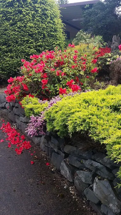 Kloshe Illahee Picture 5