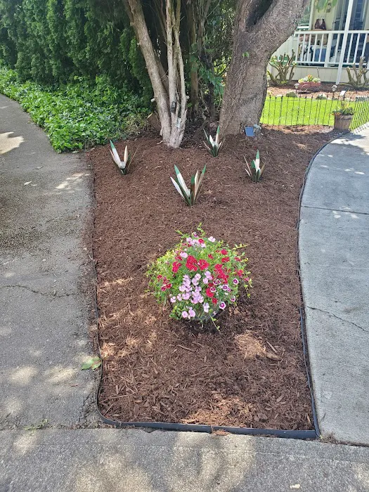 Kloshe Illahee Picture 8