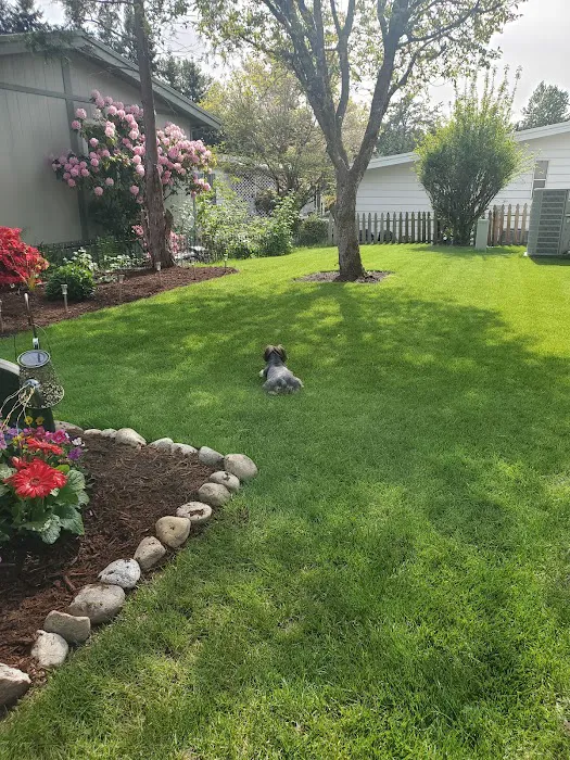 Kloshe Illahee Picture 6