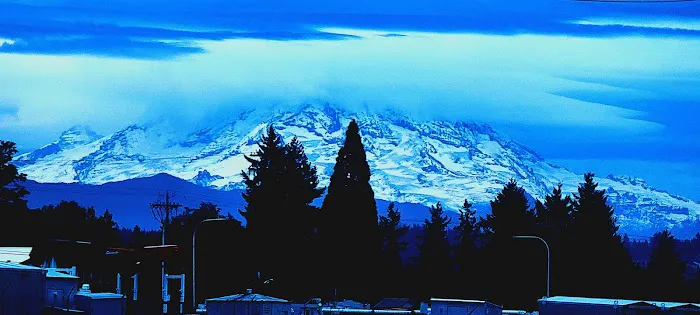 Auburn Park Picture 5