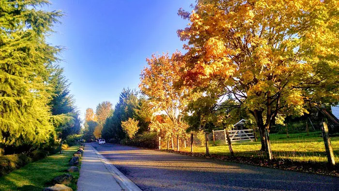 College Place Manufactured Home Community Picture 4