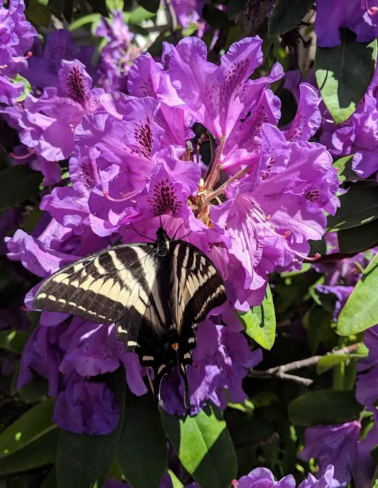 College Place Manufactured Home Community Picture 1