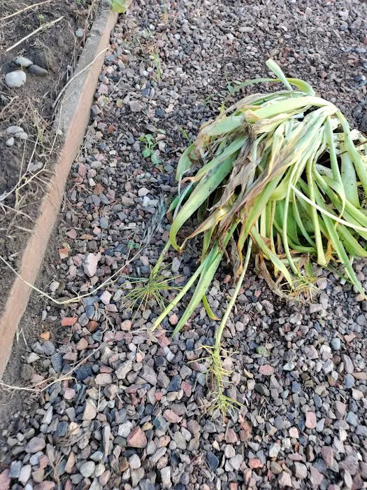 Leisure Manor Mobile Home Park Picture 3