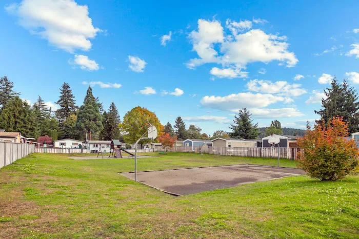 Auburn Green Picture 6