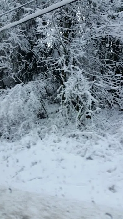 Auburn Hills Mobile Home Community Picture 1