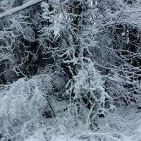 Auburn Hills Mobile Home Community ico