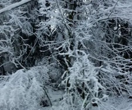 Auburn Hills Mobile Home Community