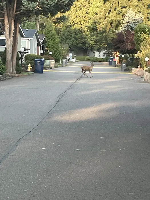 Auburn Hills Mobile Home Community Picture 6