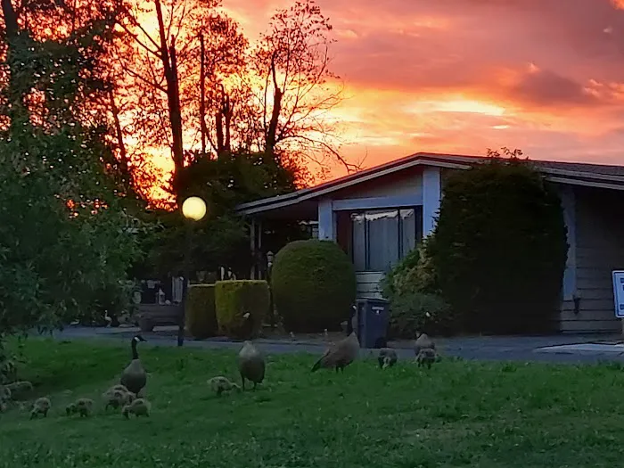 River Mobile Estates Picture 8