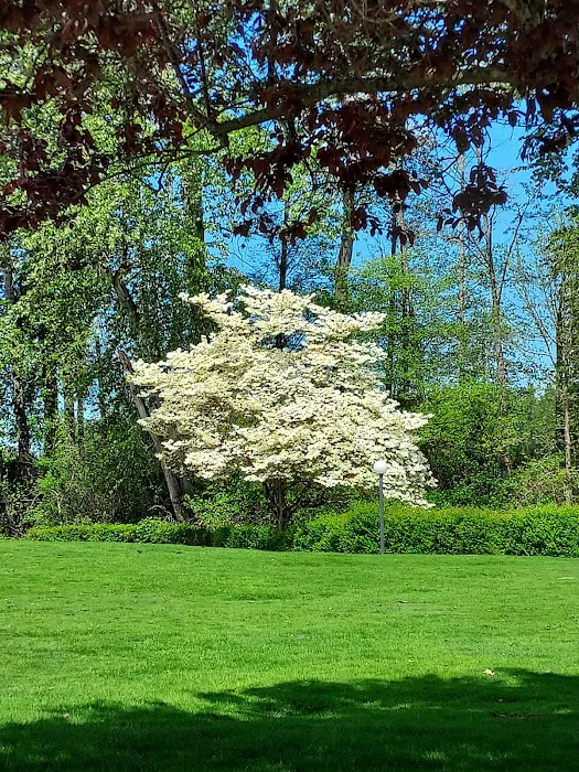 River Mobile Estates Picture 10