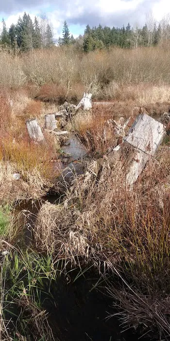 Soos Creek Estates Picture 2