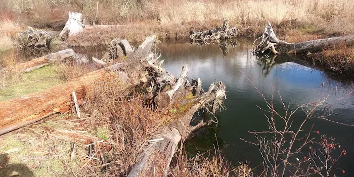 Soos Creek Estates Picture 1