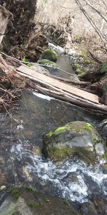 Soos Creek Estates Picture 4