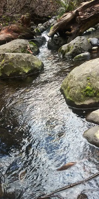 Soos Creek Estates Picture 3