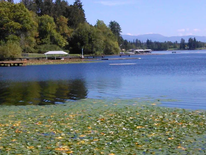 Lake Meridian Estates Mobile Picture 7