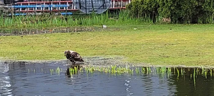 Lake Meridian Estates Mobile Picture 1