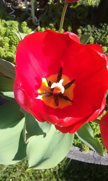 Harrisburg Mobile Home Park Picture 1