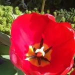 Harrisburg Mobile Home Park