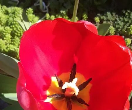 Harrisburg Mobile Home Park