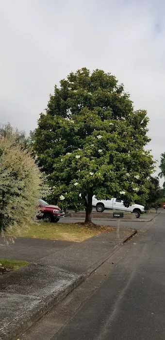 Scandia Village Picture 1