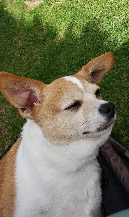 Kountry Village Picture 3