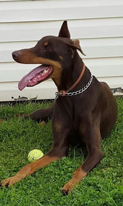 Kountry Village Picture 2