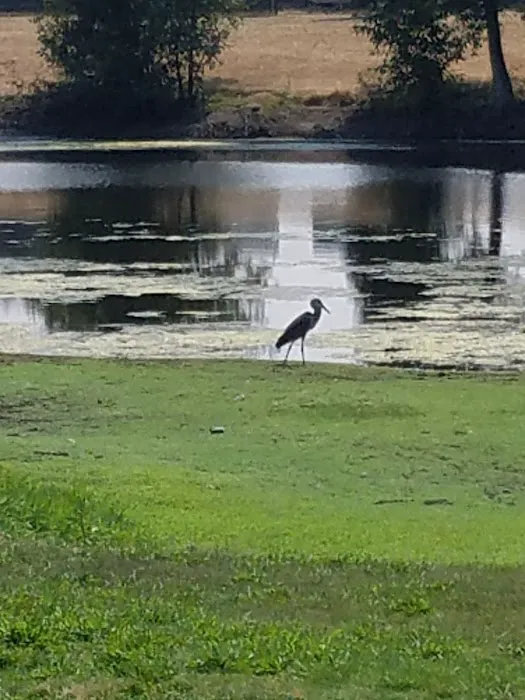 The Meadow on Pitney Pond, LLC Picture 9