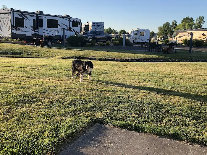 Eugene Premier RV Resort Picture 3