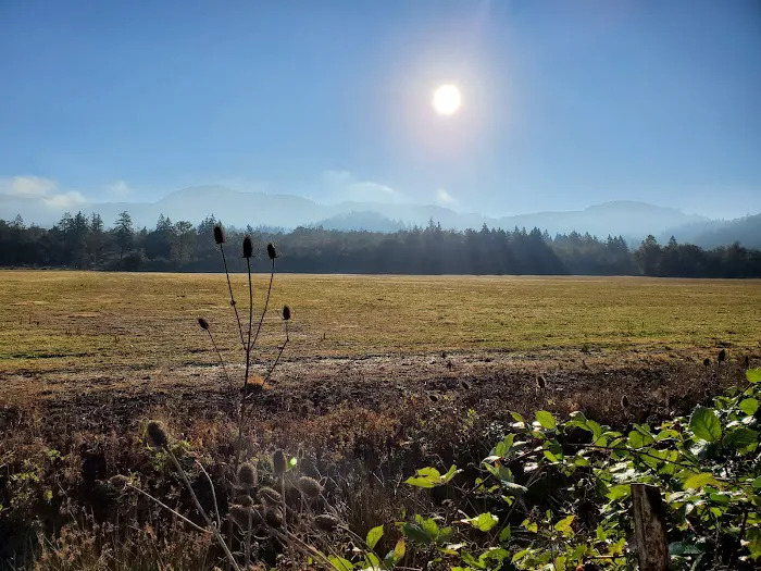 Eugene Premier RV Resort Picture 4