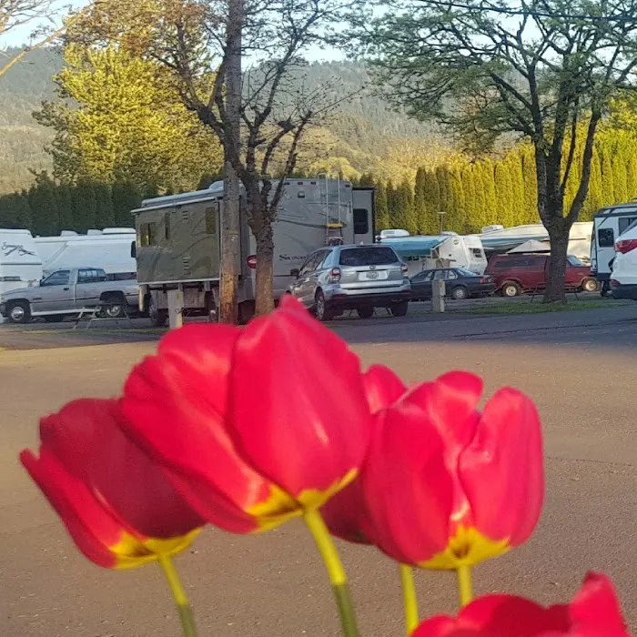 Eugene Kamping World Picture 7